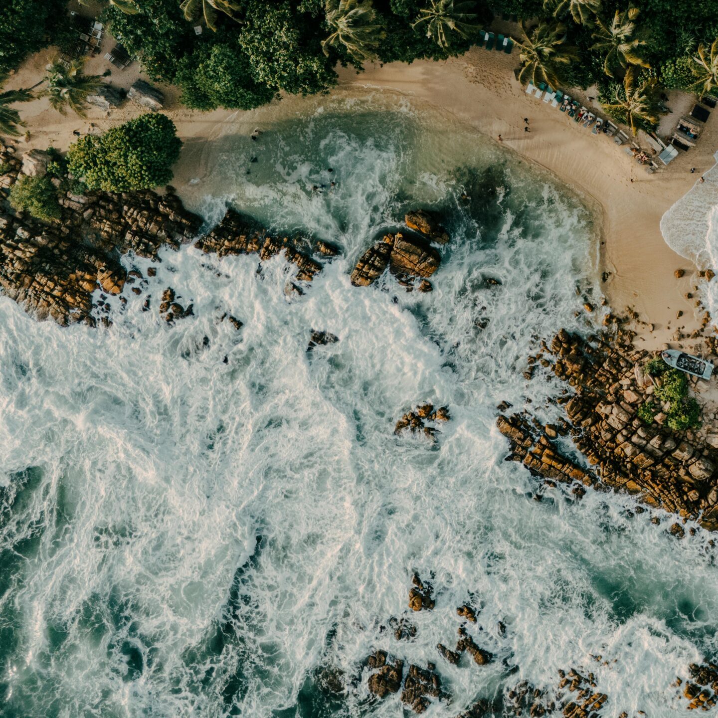 Shoreline