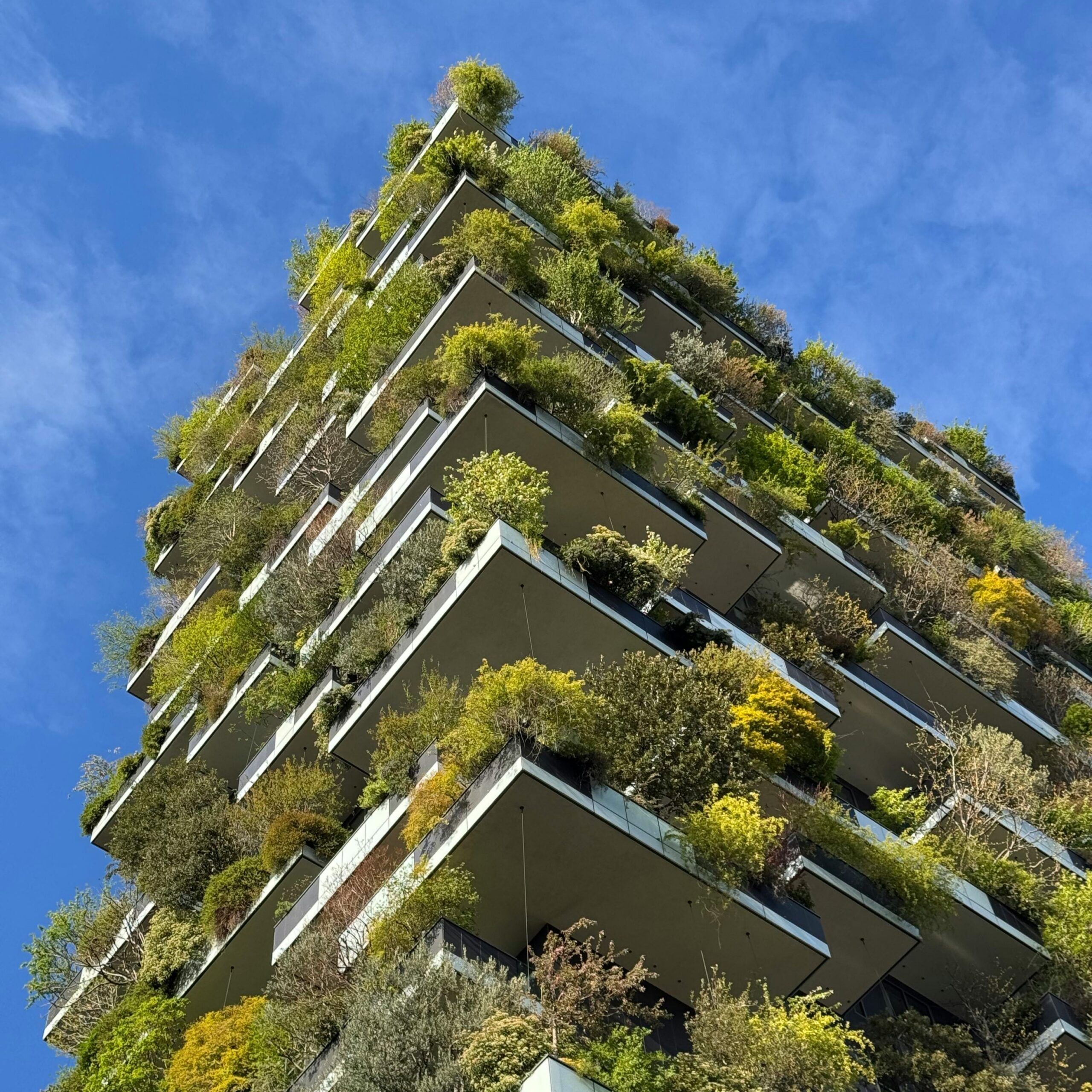 The-Rise-of-Sustainable-Building-Demand-for-Eco-Friendly-Properties-and-the-Related-Legal-Considerations